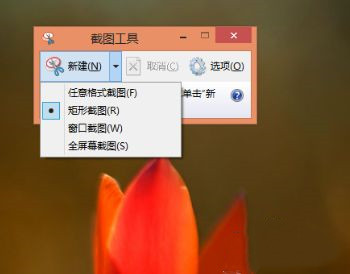 如何快速掌握电脑基本入门,笔记本电脑触摸屏使用技巧