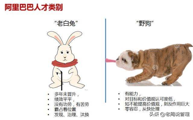 管理企业的三要素,管理的三大核心思想