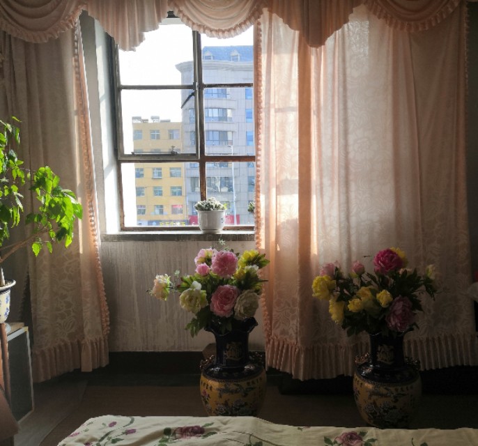 西夏的演变,西夏区发展现状