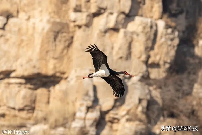 适马定焦哪一支画质最优秀,适马24mmf2.8定焦测评