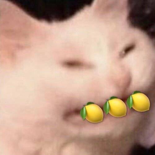 陈昱霖的名表,陈昱霖珠宝表