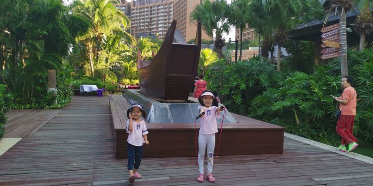 三亚红树林有亲子活动,三亚红树林和海韵