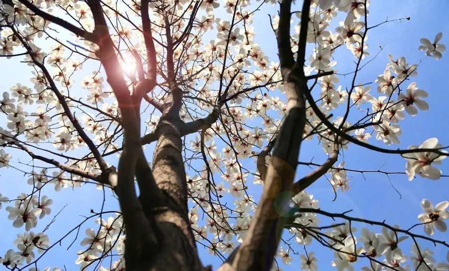 晋城司徒小镇异域风情,晋城皇城相府和司徒小镇