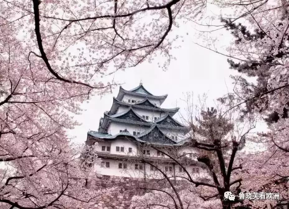 日本名古屋在哪个位置,日本旅游不要去的地方