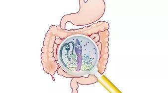 宝宝便便有粘液怎么回事,宝宝便便有泡沫什么情况