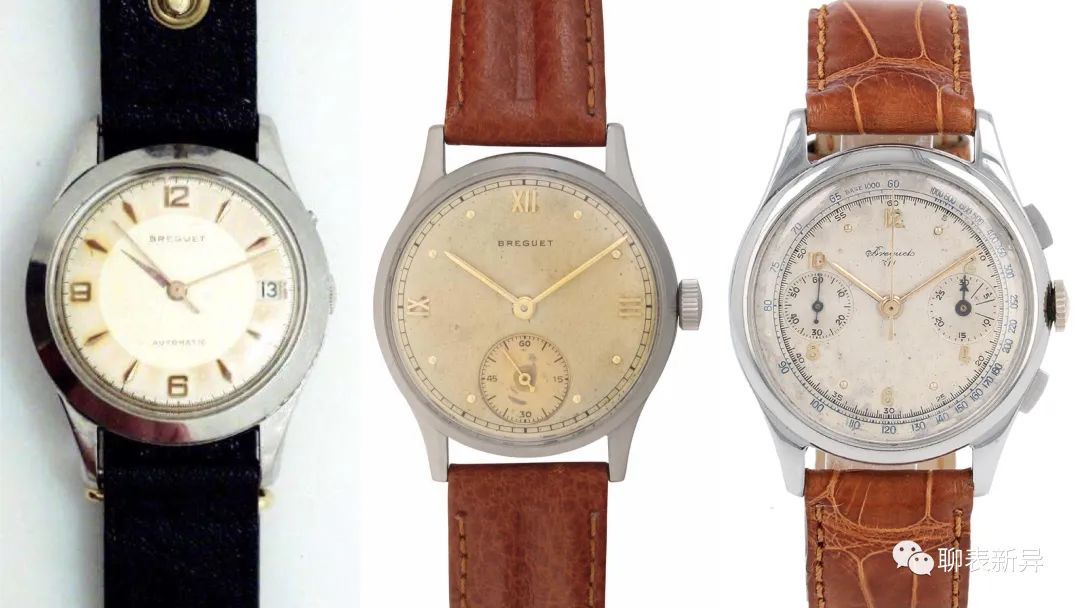 百里鸽,百里乳鸽