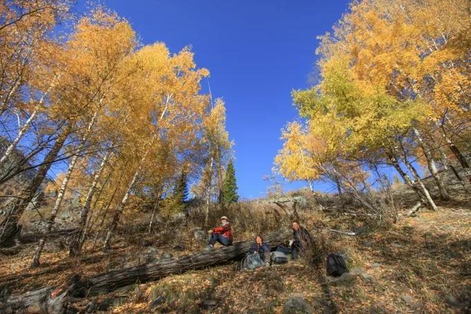 北疆四季,北疆的四季美景
