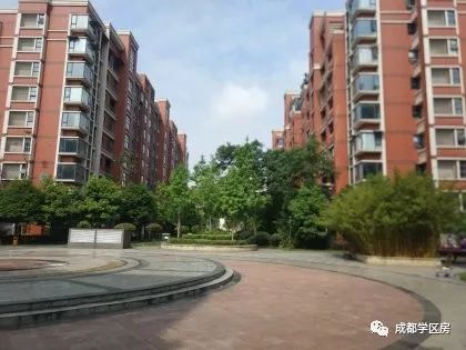 天府新区第五小学排名,天府新区a区学区房