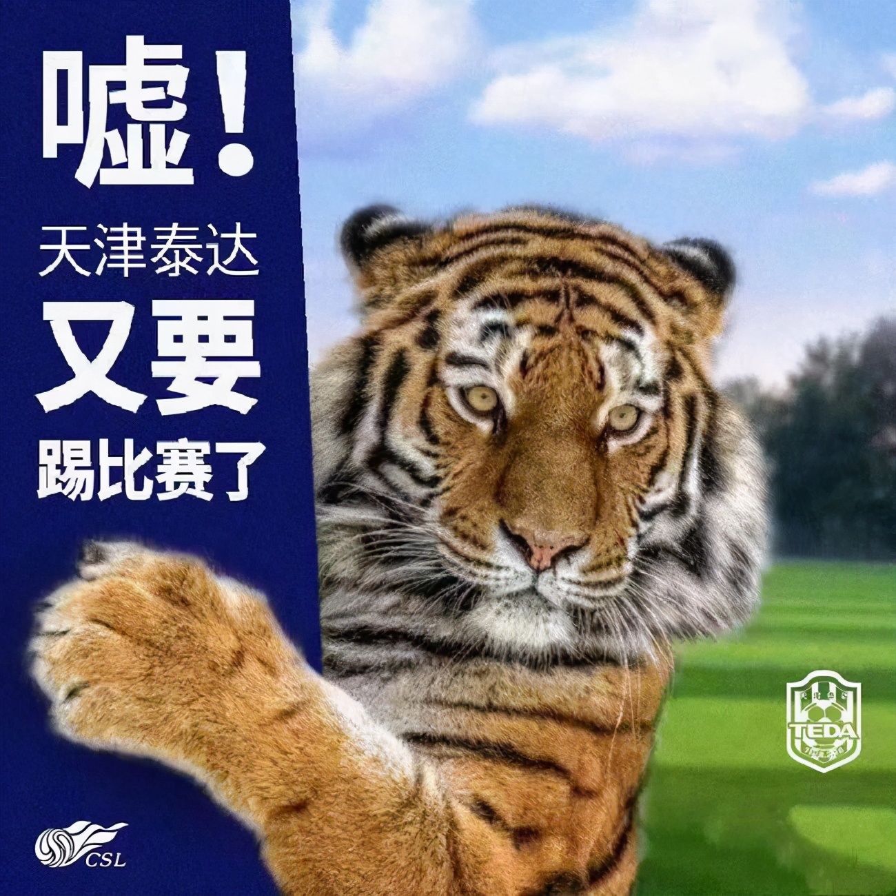 天津泰达足协,泰达引援津门虎