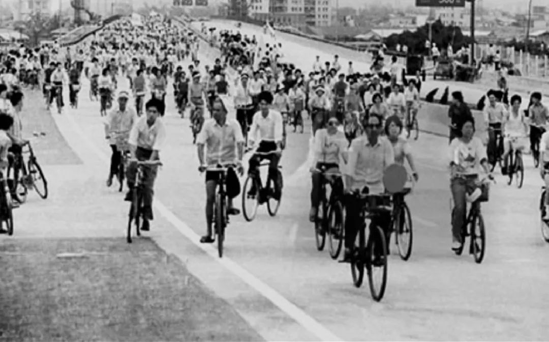 双狮表为什么只保一年,同样的日历为什么价格差太多