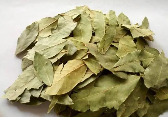 40种最常见的香料,香料知识与配方