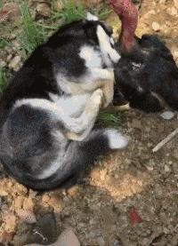 终于下班了搞笑gif图片,搞笑gif上班的时候打瞌睡尴尬了吧