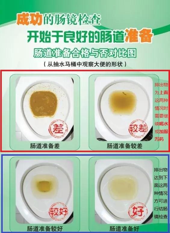 辟谣清宿便,排毒辟谣