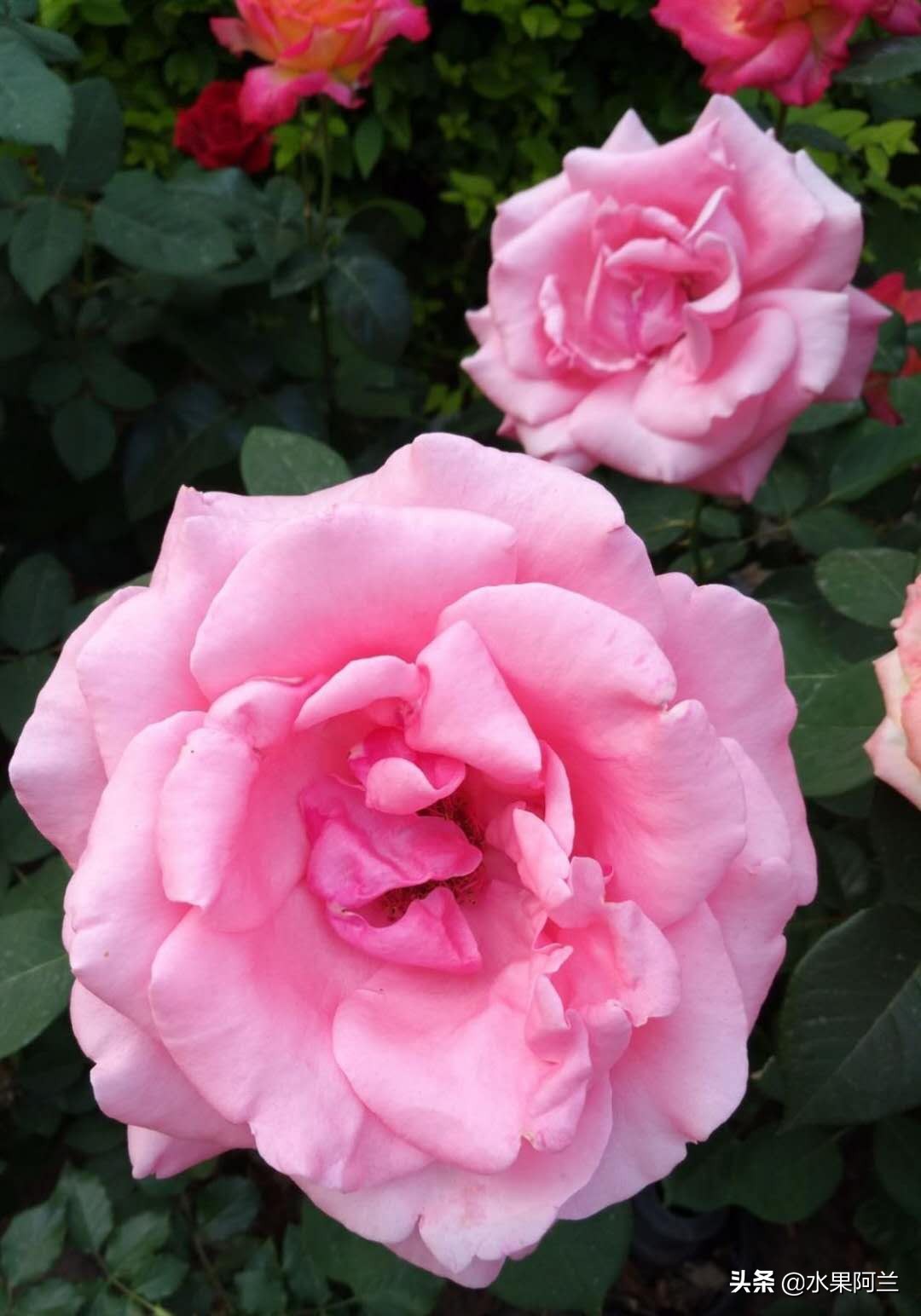 大连旅游团4天三晚,大连4天3晚跟团自由行