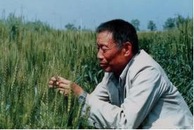 志愿填报季,你必须要知道的“宝藏”大学——西北农林科技大学