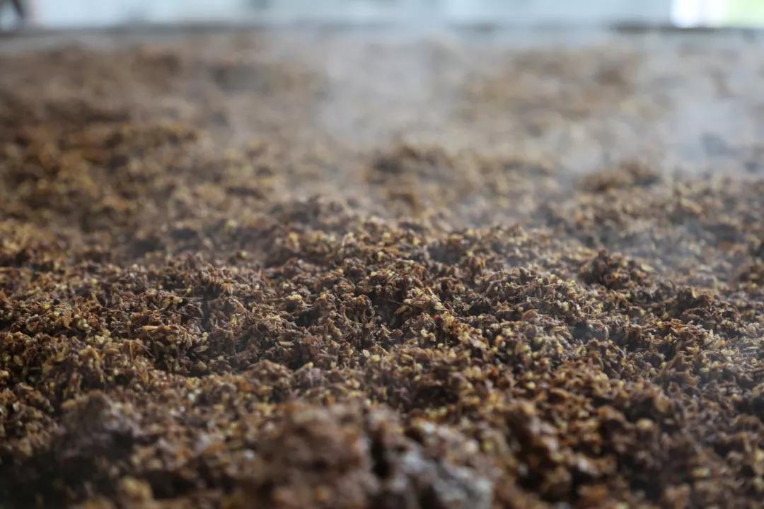 青花郎是川酱风格吗,青花郎只有一种吗