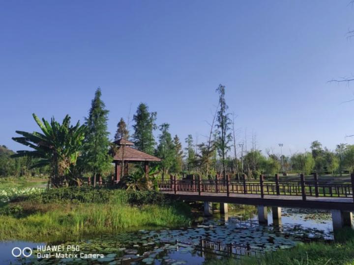 华为p50pro鸿蒙版评测,华为p50深度评测视频