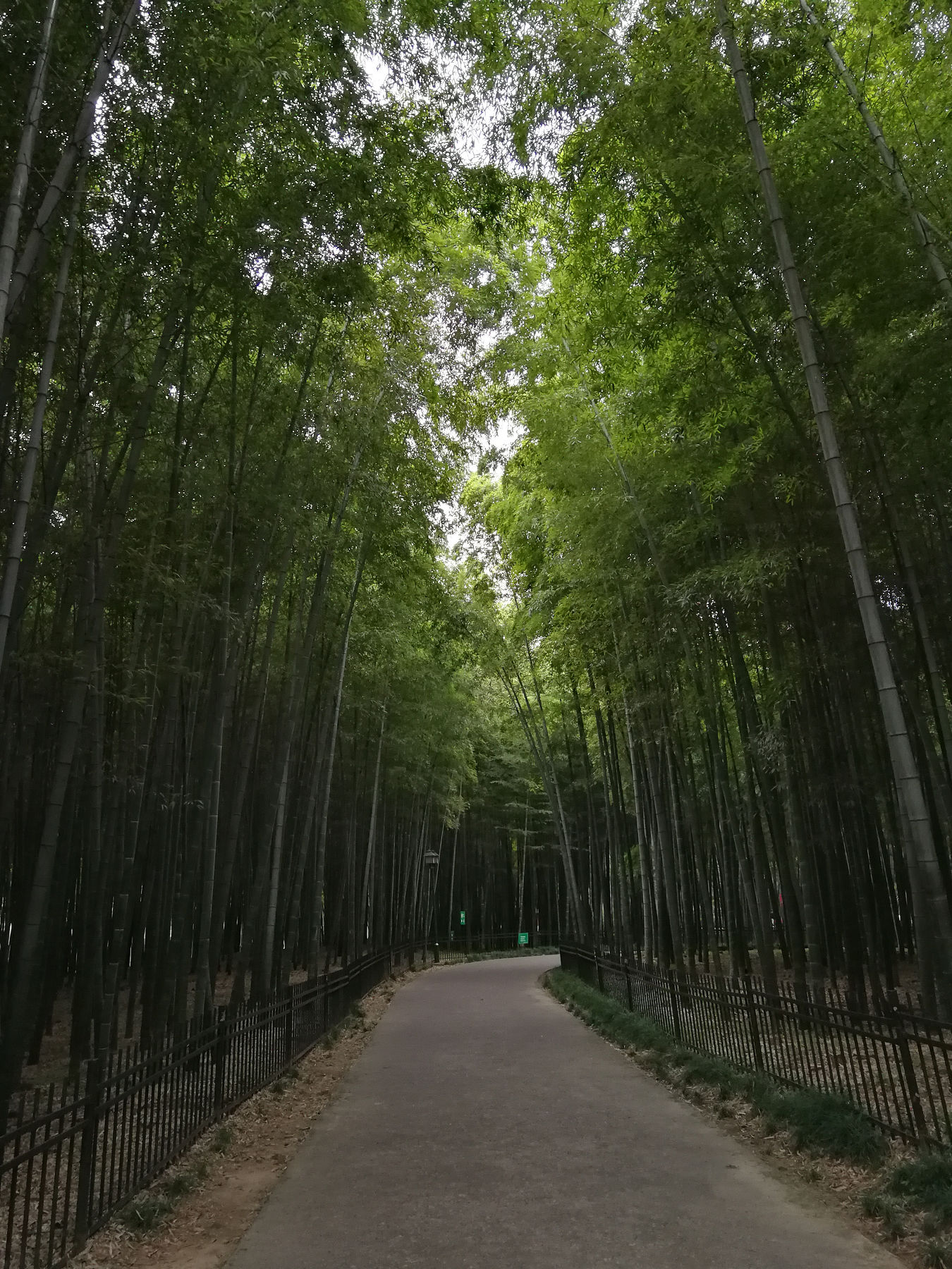 青芝坞民宿离西湖有多远,杭州青芝坞民宿排名榜
