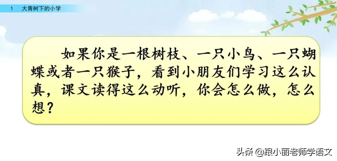 大青树下的小学重点知识点,大青树下的小学重点知识梳理