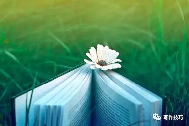 拿去用吧翻译,万能写作技巧