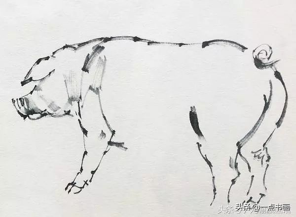 简单猪画画教学,国画写意猪图大全