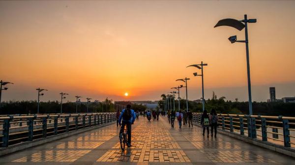 学术排名世界前100的大学,四川大学研究院在全国排行榜