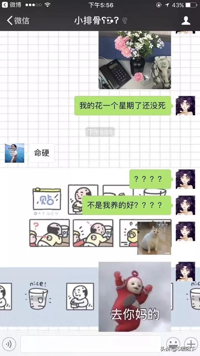 让大家见识一下钢铁直男,让你见识一下什么叫钢铁直男