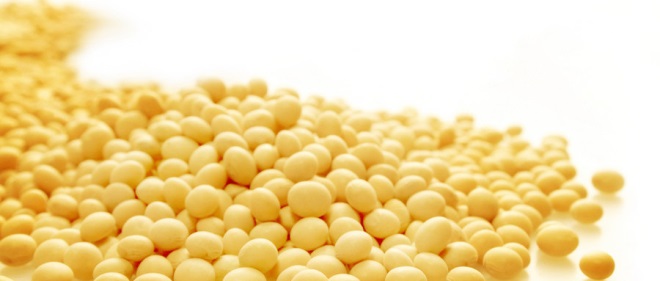 尿酸高不能吃豆制品辟谣,尿酸偏高不能吃豆制品还有什么