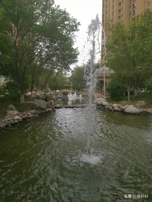 绿地城二期绿化乌鲁木齐,乌鲁木齐中海万锦公馆绿化环境