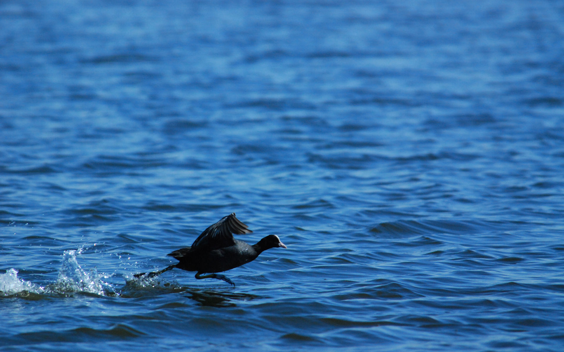 你的壁纸该换了4k超清,你的壁纸该换了图片