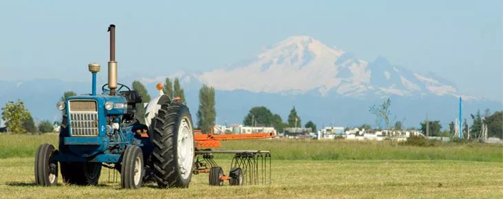加拿大最危险的街区,温哥华最差城市