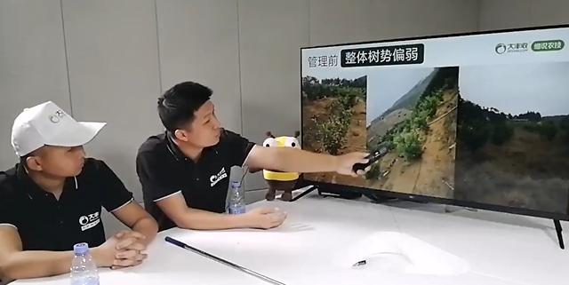 柑橘行情不稳，如何才能卖出好价钱？从这3个果园案例找方法