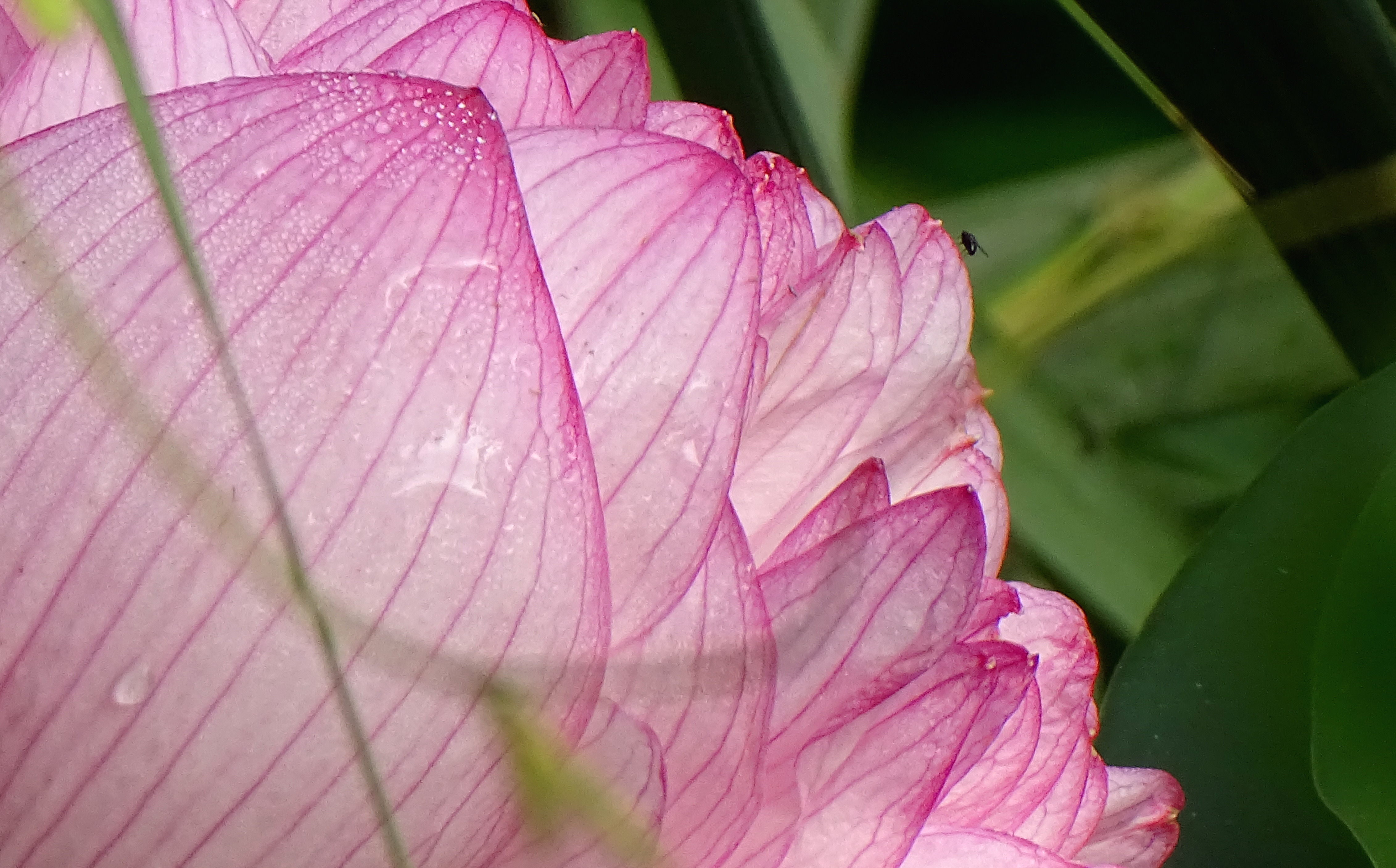 索尼dsc-hx400拍飞机效果,索尼dsc-hx400照片调色