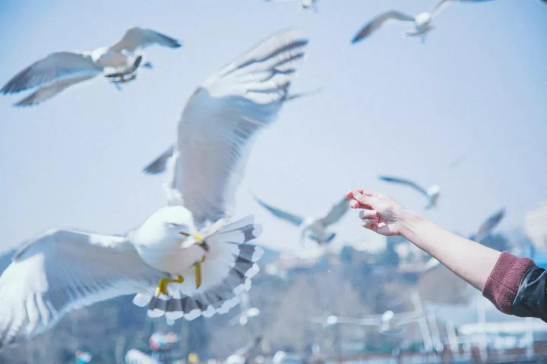 三亚和厦门哪个更值得去玩,三亚和厦门哪个更值得去游玩