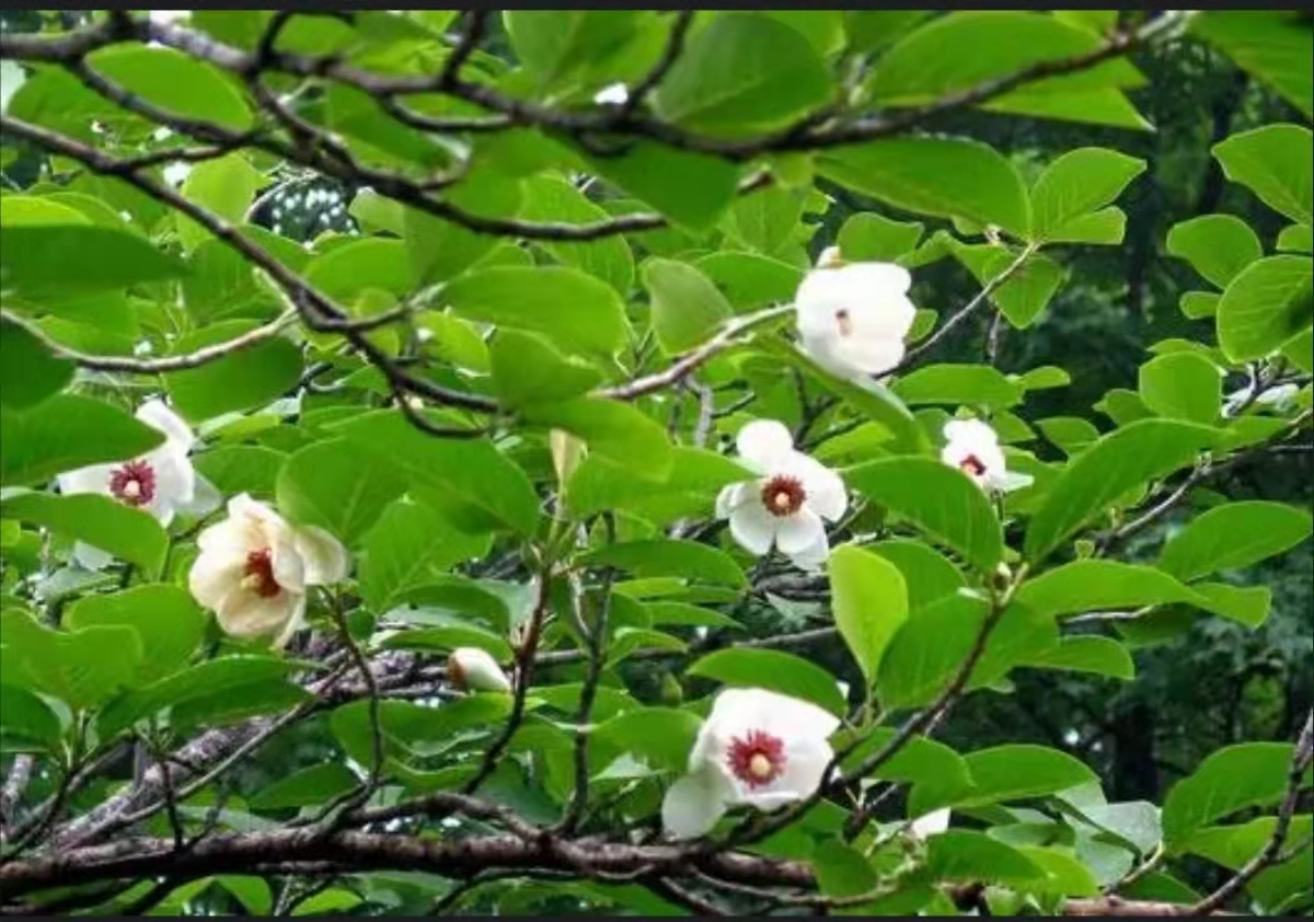 京津环渤海滨海休闲度假地产初探-之二