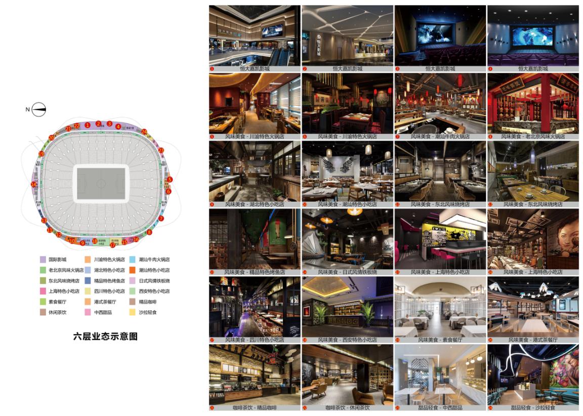 最美荷花盛开早晨图片,最美荷花绽放的整个过程视频