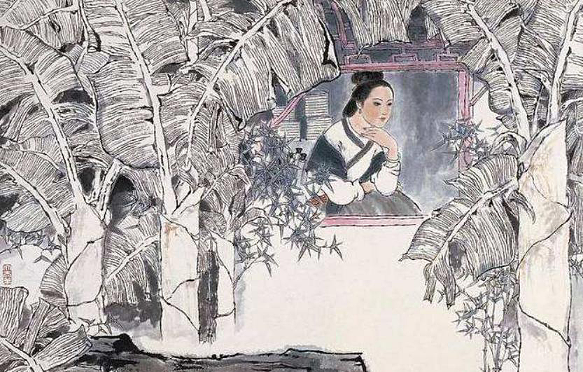 说文解字397课视频,说文解字第297课