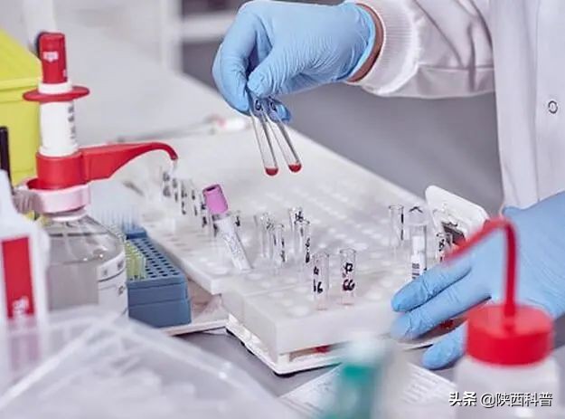 连续打嗝一天怎么办教你一招止嗝,一直打嗝怎么样能止嗝