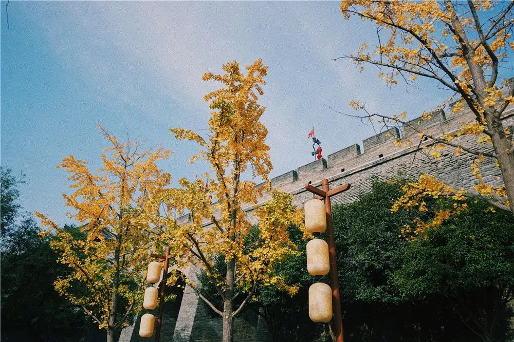 西安八月约会最佳地点,西安周末情侣最适合约会的地方