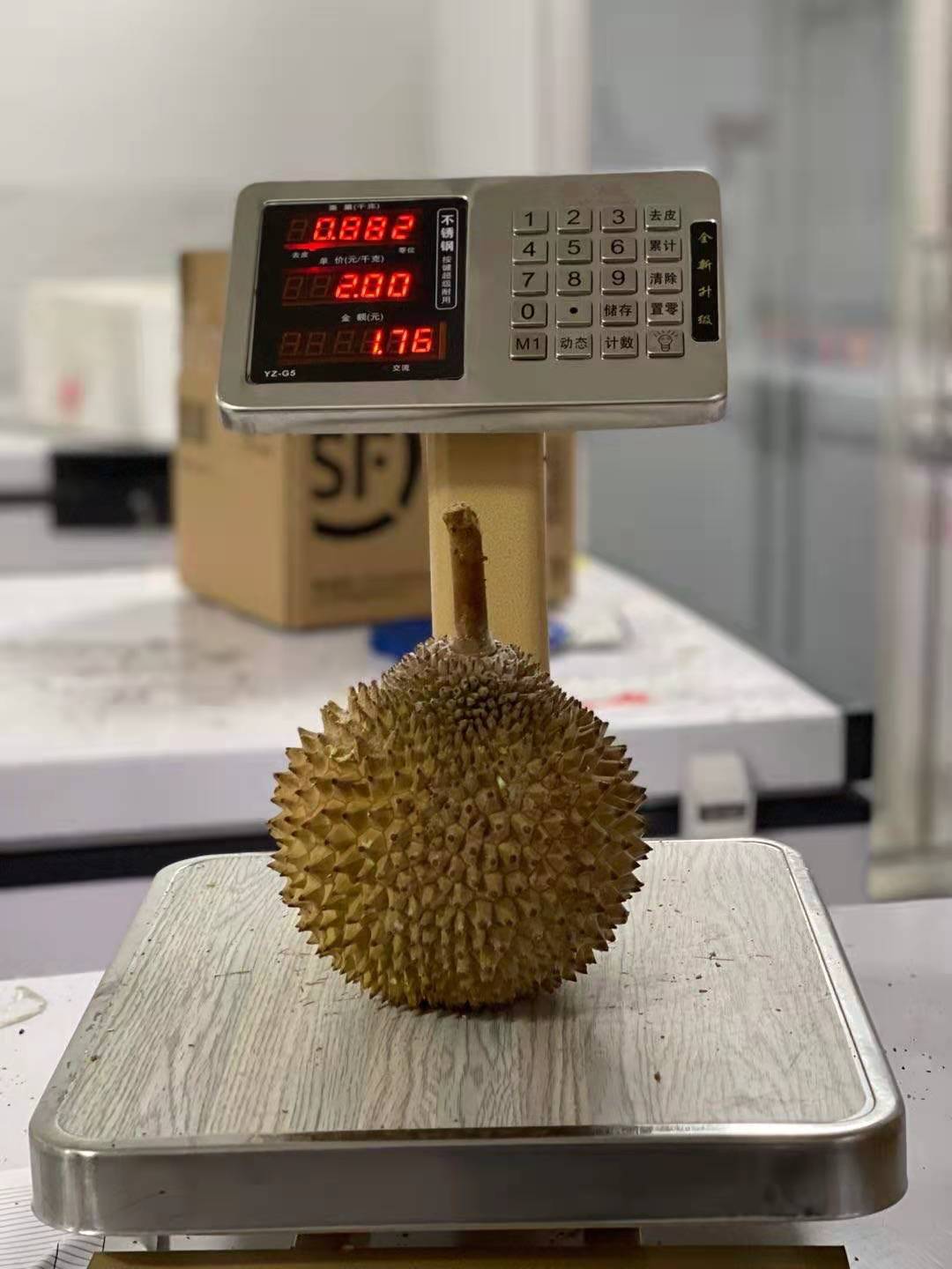 猫山王榴莲的五角星,猫山王五角星榴莲