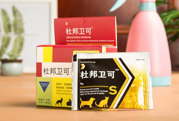 担心猫咪患尿道病？铲屎官快看过来