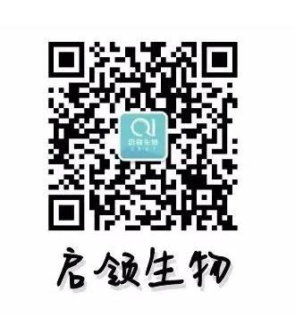 髓样肉瘤,髓系肉瘤合并髓系白血病