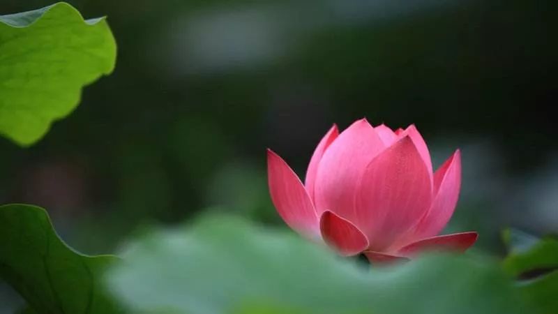 真正的逍遥自在是在自己内心,越逍遥的人越不逍遥