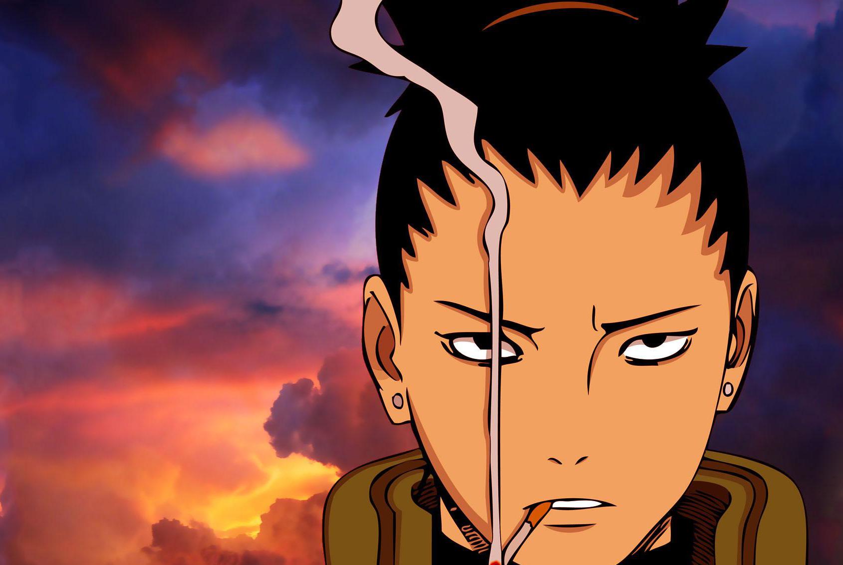 火影忍者剧情分集目录,火影忍者剧场版完整目录