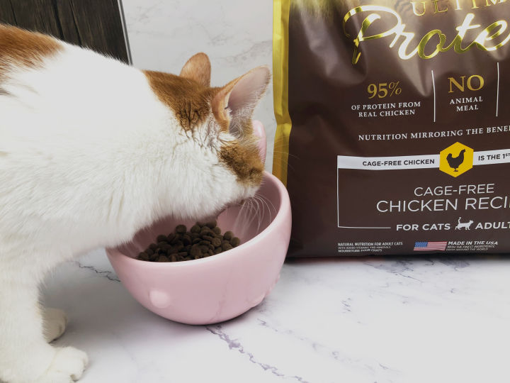 森林物语猫粮靠谱吗,海尔仕猫粮靠谱吗