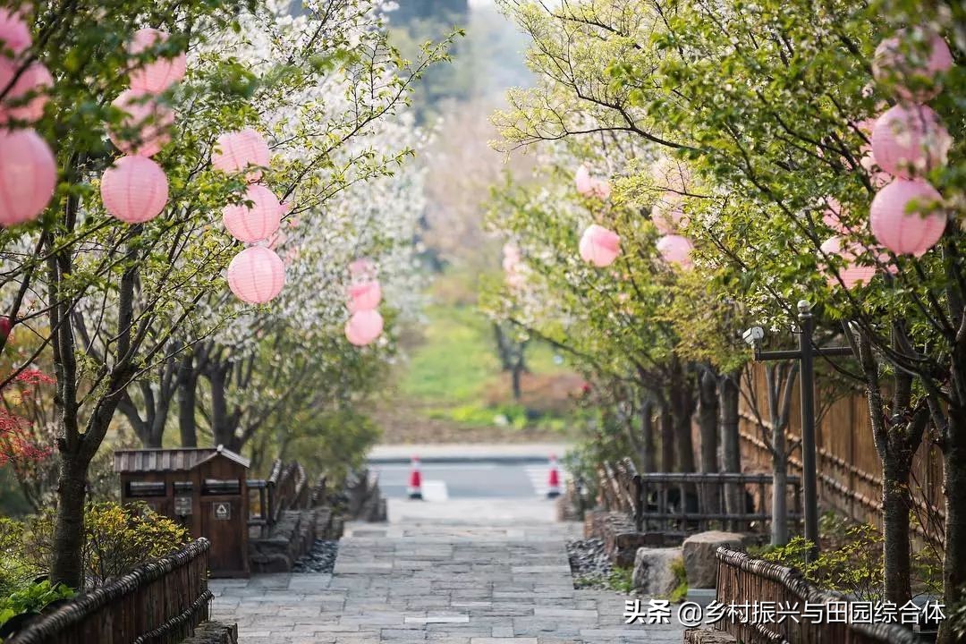 古朴悠然的禅意小镇,半农学院