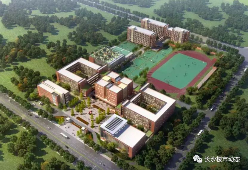 岳麓区规划中小学,岳麓区打造分校