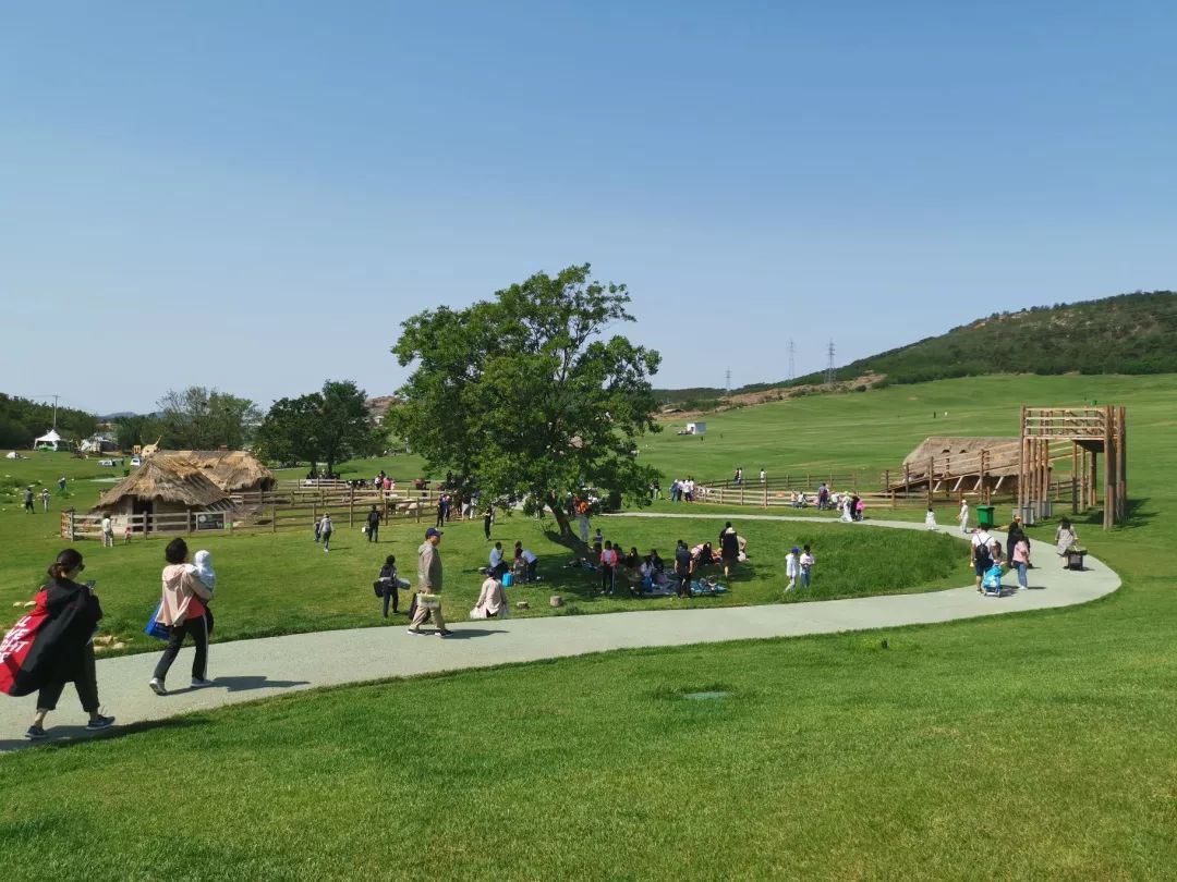 大连旅游攻略精致景点推荐,大连必去的打卡景点