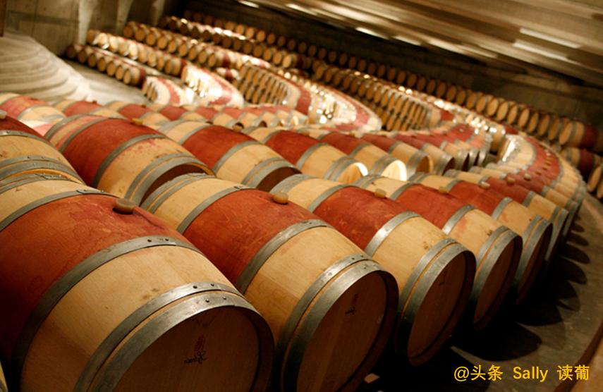 红酒在酒庄经历了什么？争议如此大？朱广权式幽默告诉你