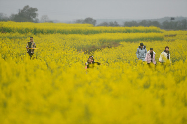 永州东安的发展,湖南永州市一座低调城市
